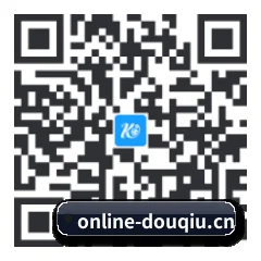 系统版 iOS 二维码
